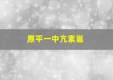 原平一中亢素邕