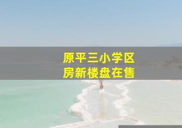 原平三小学区房新楼盘在售