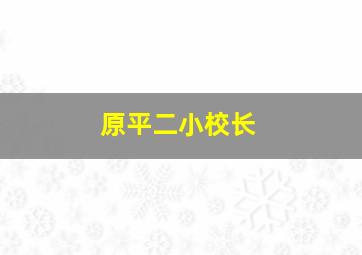 原平二小校长