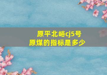 原平北峪cj5号原煤的指标是多少