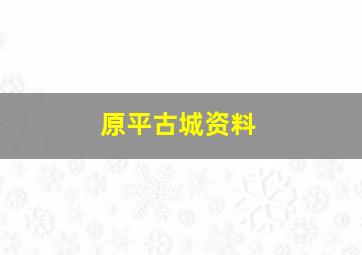 原平古城资料