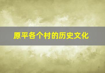 原平各个村的历史文化