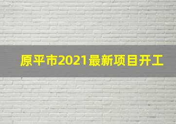 原平市2021最新项目开工