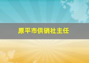 原平市供销社主任