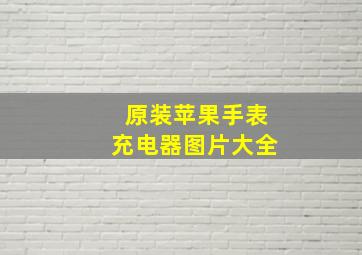 原装苹果手表充电器图片大全