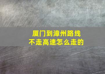 厦门到漳州路线不走高速怎么走的