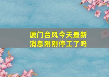 厦门台风今天最新消息刚刚停工了吗