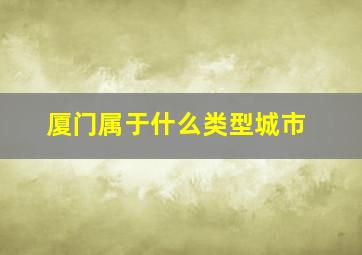 厦门属于什么类型城市