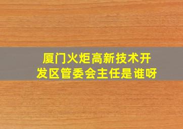 厦门火炬高新技术开发区管委会主任是谁呀