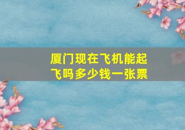 厦门现在飞机能起飞吗多少钱一张票