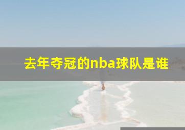 去年夺冠的nba球队是谁