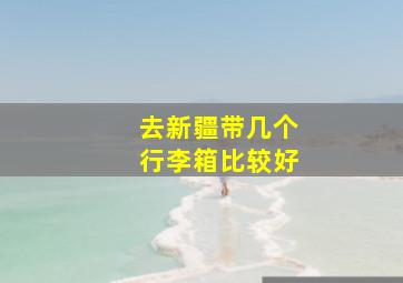 去新疆带几个行李箱比较好