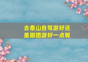 去泰山自驾游好还是跟团游好一点呢