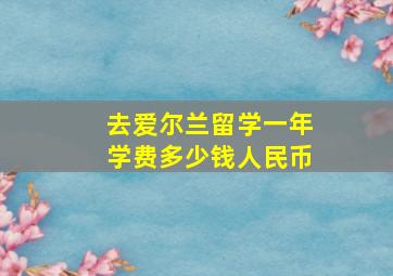 去爱尔兰留学一年学费多少钱人民币