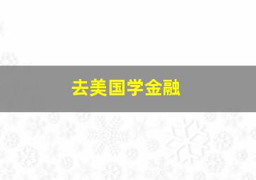 去美国学金融