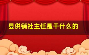 县供销社主任是干什么的