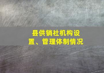 县供销社机构设置、管理体制情况