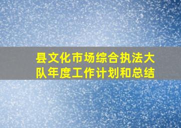 县文化市场综合执法大队年度工作计划和总结