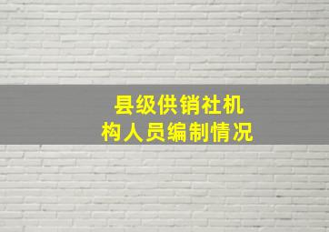 县级供销社机构人员编制情况