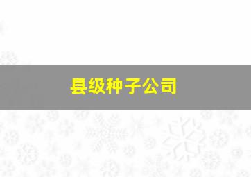 县级种子公司