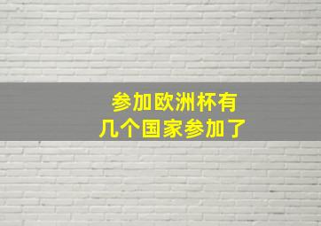 参加欧洲杯有几个国家参加了