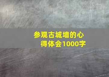 参观古城墙的心得体会1000字