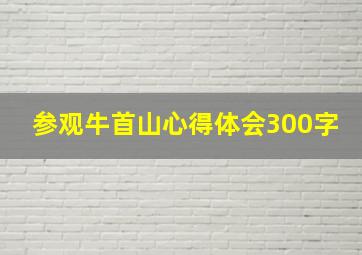 参观牛首山心得体会300字