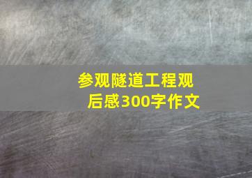 参观隧道工程观后感300字作文