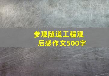 参观隧道工程观后感作文500字