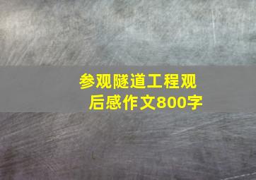 参观隧道工程观后感作文800字