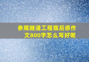 参观隧道工程观后感作文800字怎么写好呢