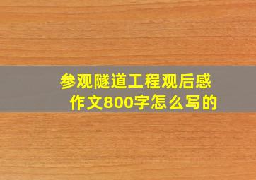 参观隧道工程观后感作文800字怎么写的