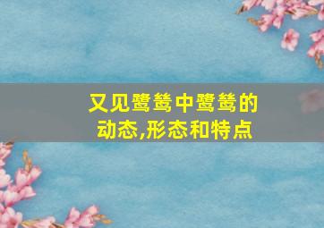 又见鹭鸶中鹭鸶的动态,形态和特点