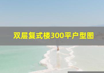 双层复式楼300平户型图