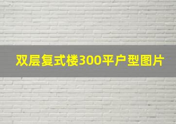 双层复式楼300平户型图片