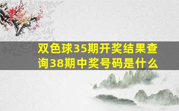 双色球35期开奖结果查询38期中奖号码是什么