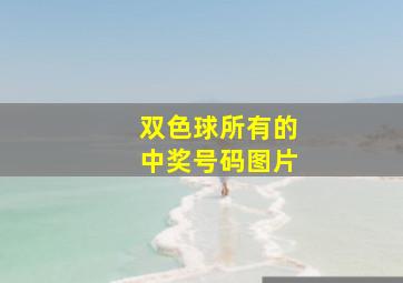 双色球所有的中奖号码图片