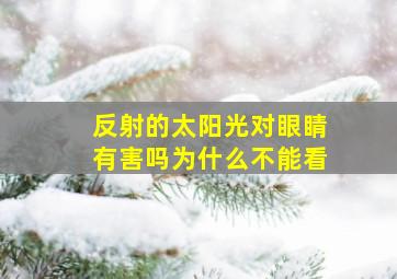 反射的太阳光对眼睛有害吗为什么不能看