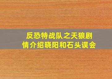 反恐特战队之天狼剧情介绍晓阳和石头误会