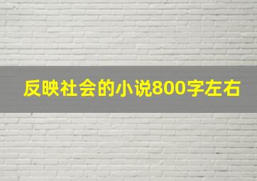 反映社会的小说800字左右