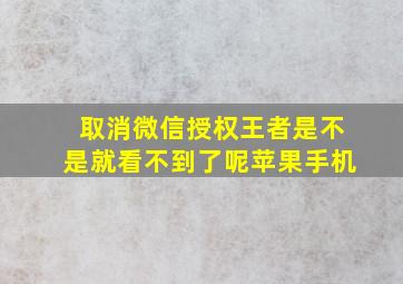 取消微信授权王者是不是就看不到了呢苹果手机