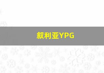 叙利亚YPG