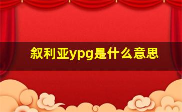 叙利亚ypg是什么意思