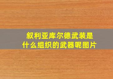 叙利亚库尔德武装是什么组织的武器呢图片