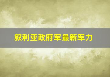 叙利亚政府军最新军力