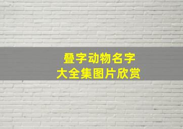 叠字动物名字大全集图片欣赏