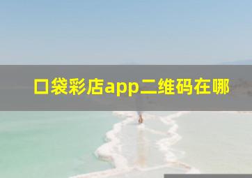 口袋彩店app二维码在哪