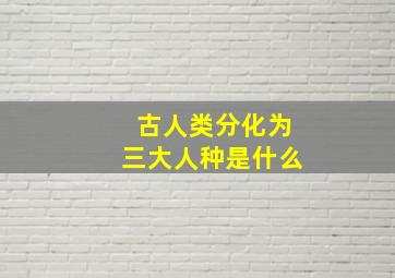 古人类分化为三大人种是什么