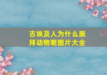 古埃及人为什么崇拜动物呢图片大全