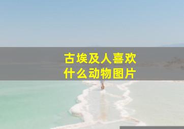 古埃及人喜欢什么动物图片